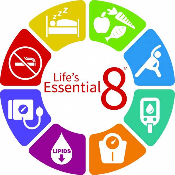 Unlock Longevity: An 8-Step Checklist to Slow Biological Aging and Add 6 Years to Your Life