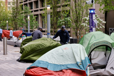 Police Disband NYU Tent Encampment: 13 Protesters Apprehended